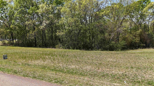 0 Ebenezer Rd, Toone, TN 38381
