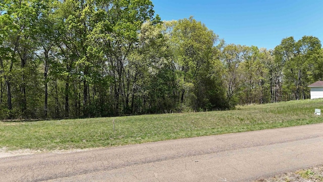 0 Ebenezer Rd, Toone, TN 38381