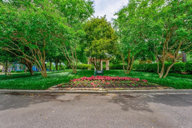 182 Harbor Isle Cir, Memphis, TN 38103 - view of property's community