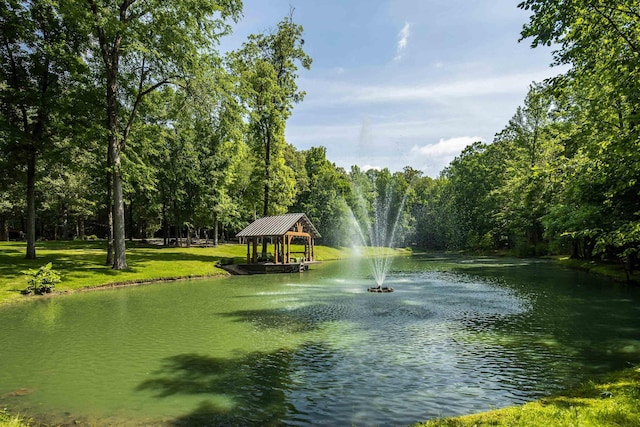 1940 Nuckolls Rd, Rossville, TN 38066 - water view featuring a forest