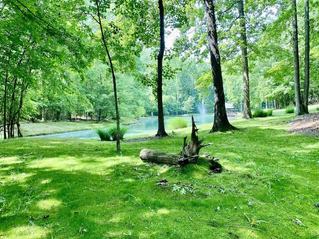 1940 Nuckolls Rd, Rossville, TN 38066 - surrounding community featuring a water view and a yard