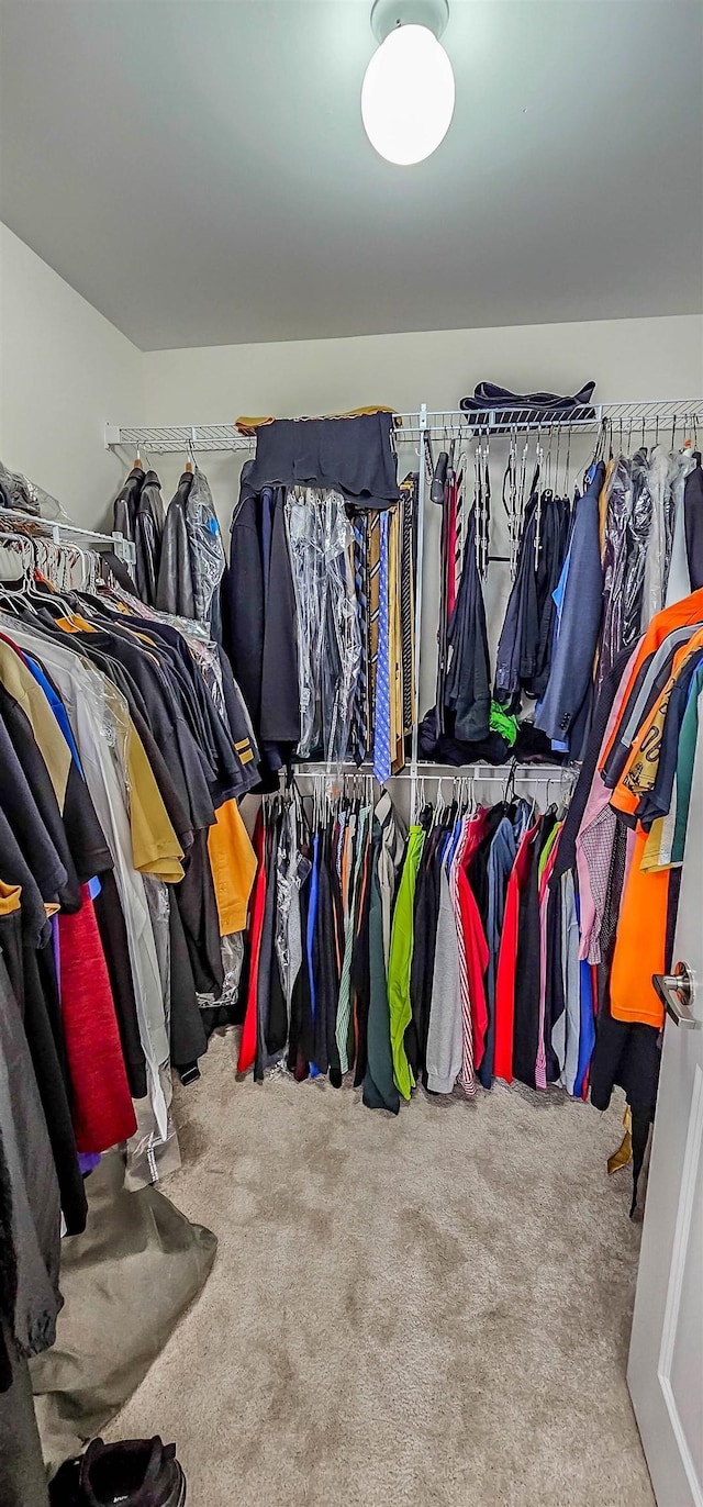 1601 E Southfield Cir, Memphis, TN 38016 - walk in closet featuring carpet