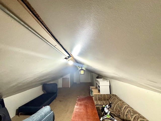 260 N Willett St, Memphis, TN 38112 - additional living space featuring lofted ceiling, a textured ceiling, and carpet floors