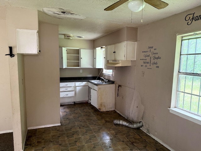 3701 Dorado Cv, Memphis, TN 38128 - kitchen with healthy amount of natural light, ceiling fan, a textured ceiling, white cabinetry, and a sink