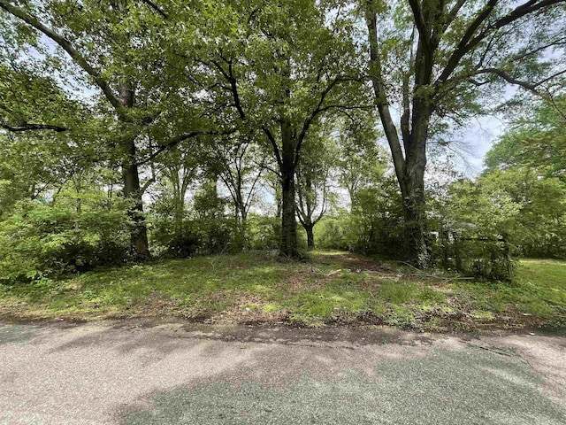 1930 Clifton Ave, Memphis, TN 38127