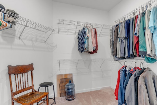 45 Laurel Hedge Cv, Oakland, TN 38060 - walk in closet with carpet floors
