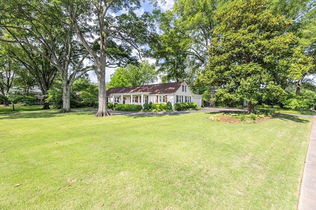 241 Greenway Rd, Memphis, TN 38117 - view of green lawn with driveway and a garage