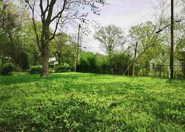 4864 Bowen Ave, Memphis, TN 38122 - view of yard