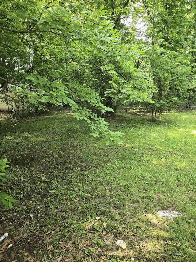 961 Joseph Pl, Memphis, TN 38107 - view of grassy yard
