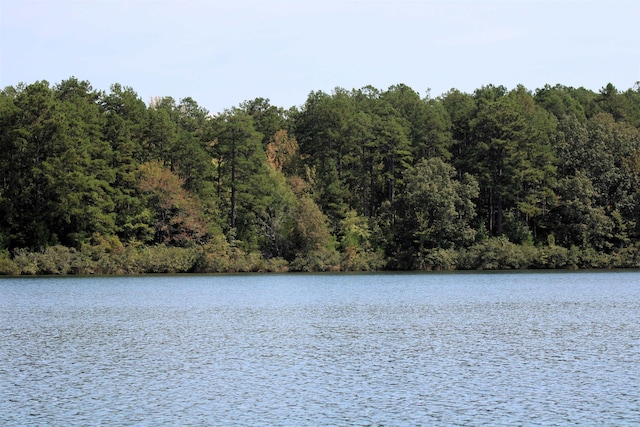 1208 Redwood Dr, Saulsbury, TN 38067
