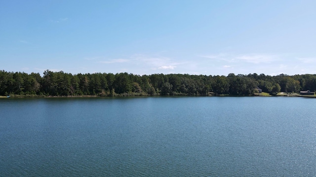 1208 Redwood Dr, Saulsbury, TN 38067