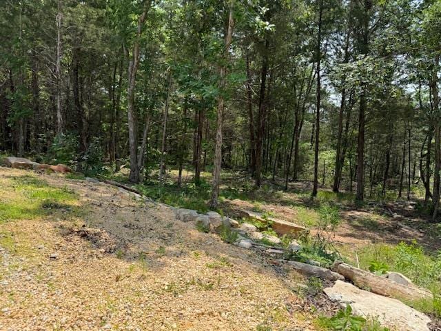 135 Lapa Ln, Clifton, TN 38425 - view of wooded area