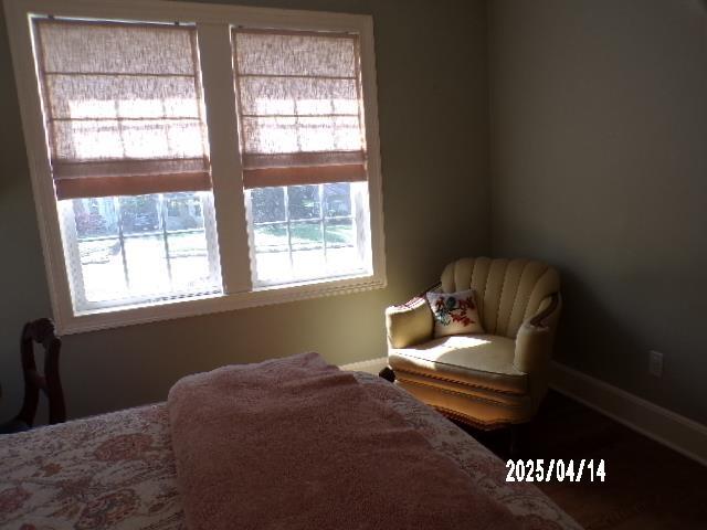400 S Reese St, Memphis, TN 38111 - bedroom with multiple windows