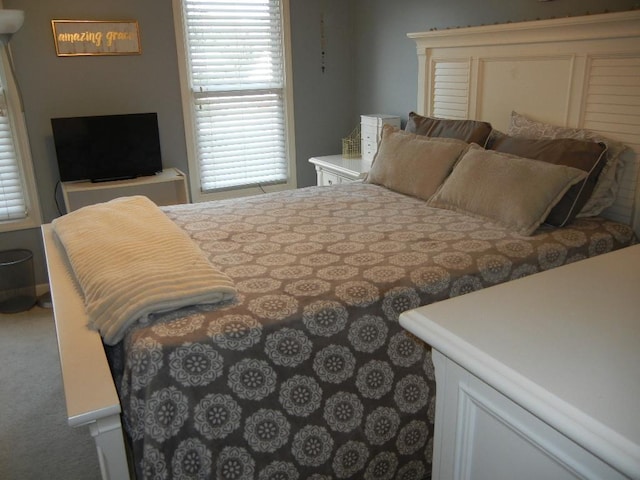 197 Walnut Gardens Dr, Memphis, TN 38018 - view of carpeted bedroom