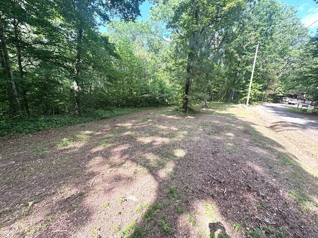 115 Contreau Rd, Counce, TN 38326