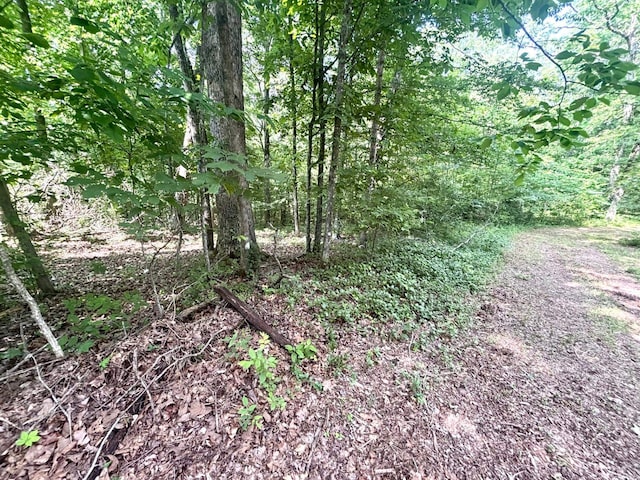 115 Contreau Rd, Counce, TN 38326
