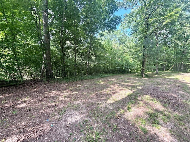 115 Contreau Rd, Counce, TN 38326