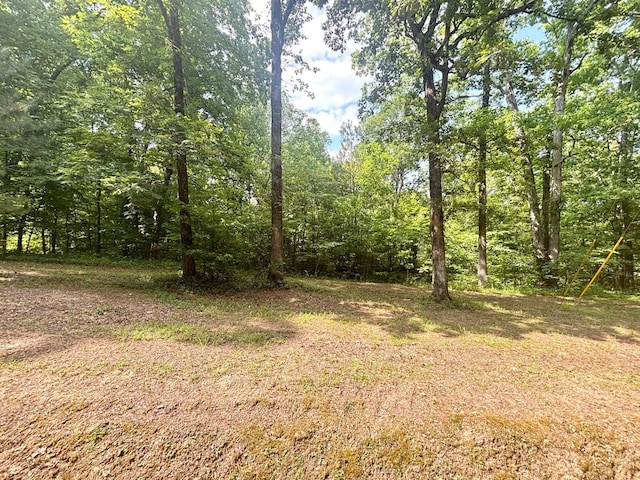 115 Contreau Rd, Counce, TN 38326