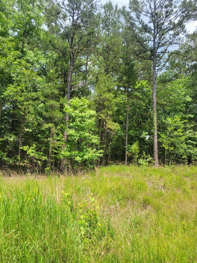 0 Dogwood Dr Unit Cwl200, Saulsbury, TN 38067