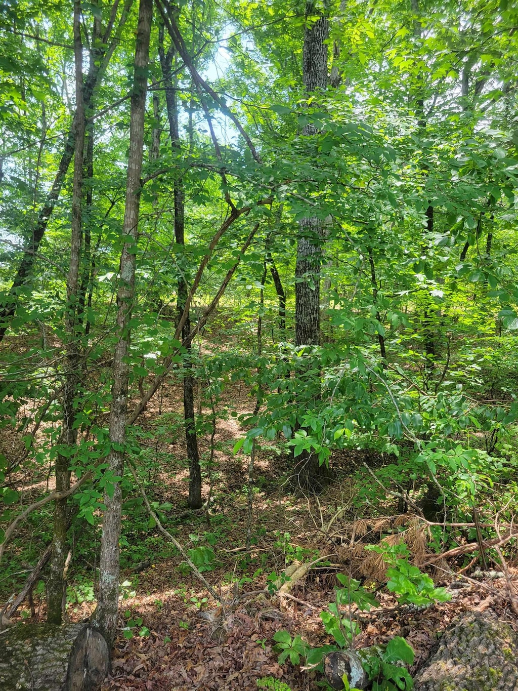 0 Dogwood Dr Unit Wr17, Middleton, TN 38052