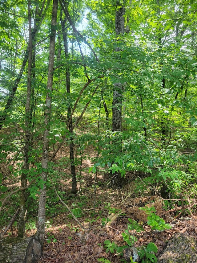 0 Dogwood Dr Unit Wr17, Middleton, TN 38052