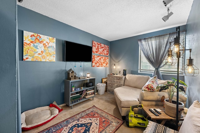 6814 Azalea Hill Cv, Bartlett, TN 38135 - living room with a textured ceiling and carpet flooring