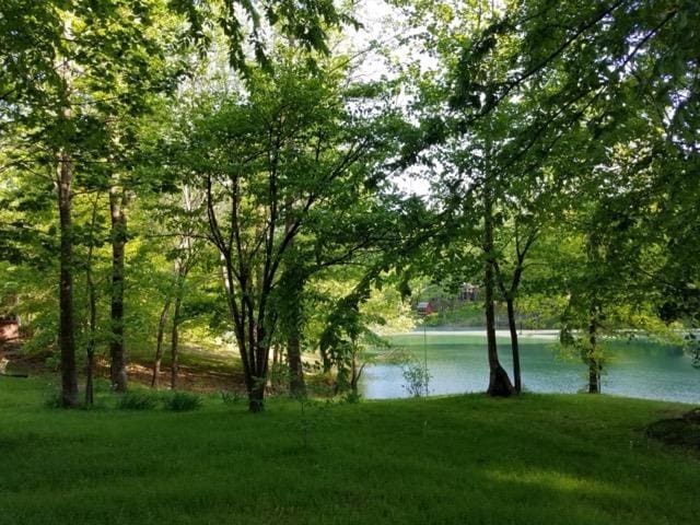 67 Walker Field Ln, Munford, TN 38058 - water view