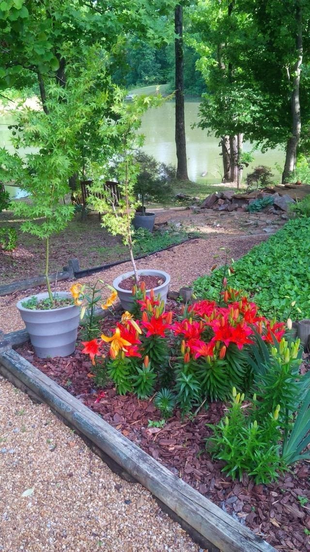 67 Walker Field Ln, Munford, TN 38058 - view of yard