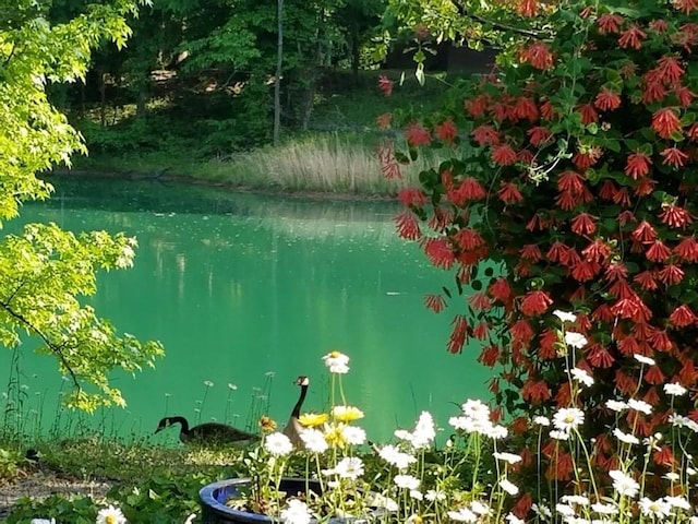 67 Walker Field Ln, Munford, TN 38058 - water view