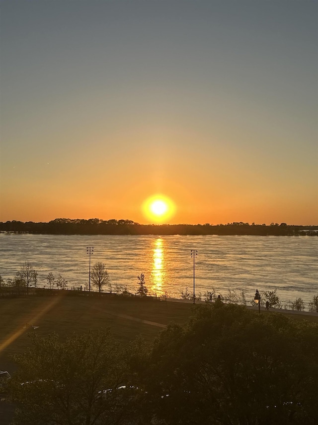 373 Riverbluff Pl Unit 3, Memphis, TN 38103 - water view