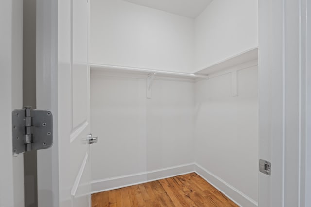 123 Court Ave Unit 401, Memphis, TN 38103 - walk in closet featuring light wood-type flooring