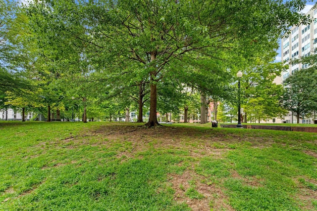 123 Court Ave Unit 401, Memphis, TN 38103 - view of yard