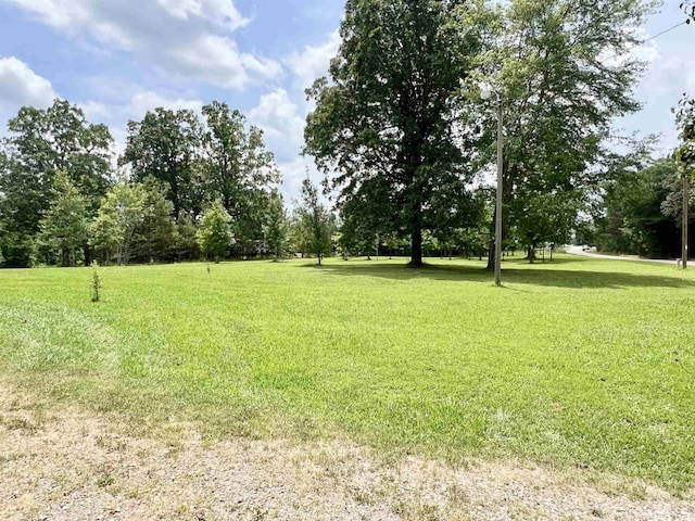 2045 Hardin Graveyard Rd, Adamsville, TN 38310 - view of green lawn