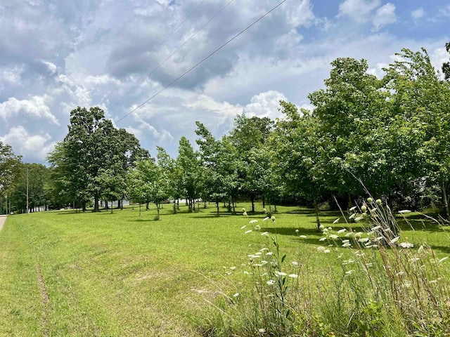 2045 Hardin Graveyard Rd, Adamsville, TN 38310 - view of grassy yard