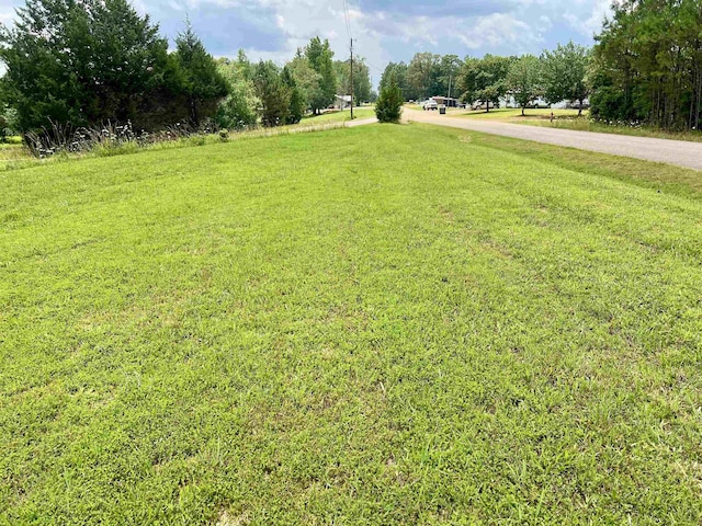 2045 Hardin Graveyard Rd, Adamsville, TN 38310 - view of green lawn