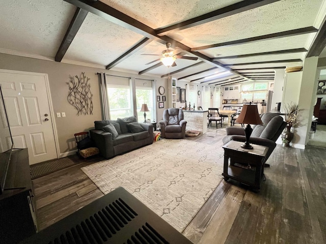 2045 Hardin Graveyard Rd, Adamsville, TN 38310 - living area featuring hardwood / wood-style flooring, healthy amount of natural light, ceiling fan, and a textured ceiling