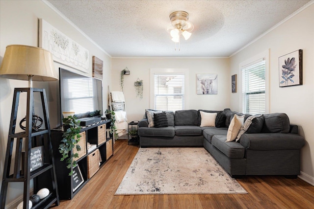 1159 Echles St, Memphis, TN 38111 - living room with crown molding, healthy amount of natural light, wood finished floors, a ceiling fan, and a textured ceiling