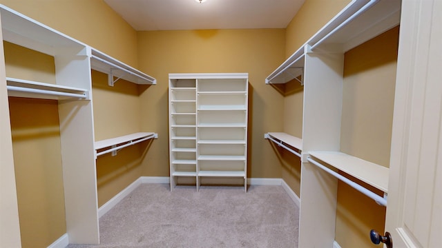4111 Sir Thopas Dr, Southaven, MS 38671 - walk in closet with light carpet