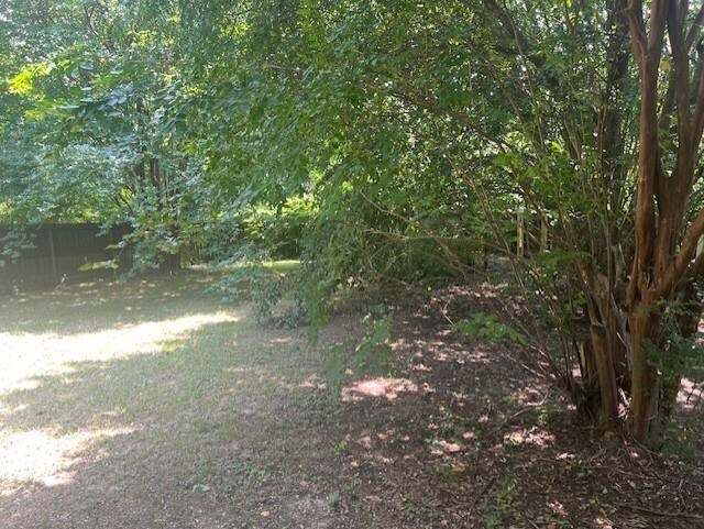 3115 S Wesley Ct, Memphis, TN 38119 - view of undeveloped land
