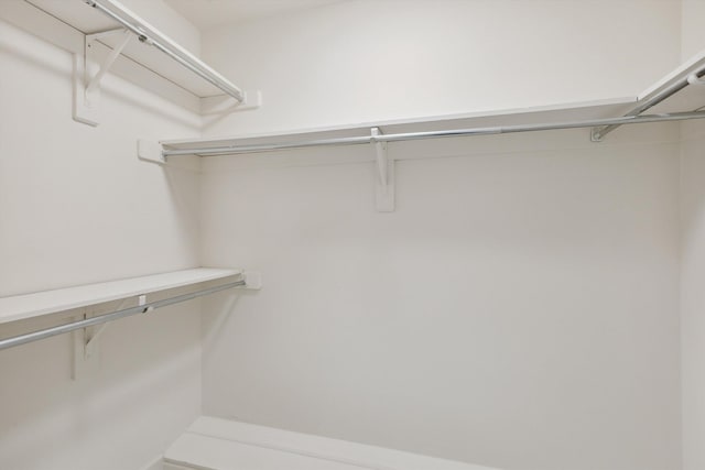 8394 N Westfair Cir N, Germantown, TN 38139 - view of walk in closet