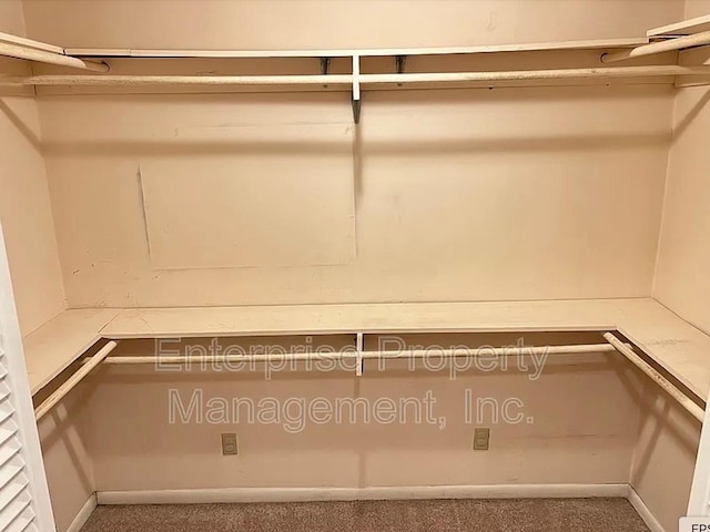 1750 Sea Isle Rd, Memphis, TN 38117 - walk in closet with carpet floors