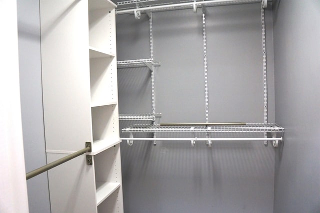 227 Lake Shore Dr, Munford, TN 38058 - view of spacious closet