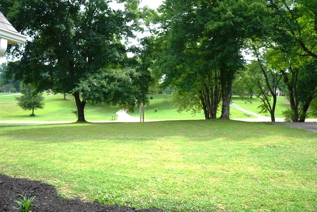 227 Lake Shore Dr, Munford, TN 38058 - view of home's community with a lawn and view of golf course