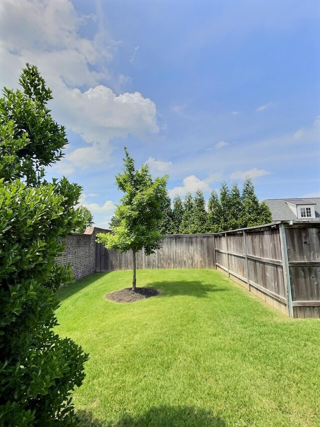 3181 Chapel Woods Cv, Germantown, TN 38139 - view of fenced backyard