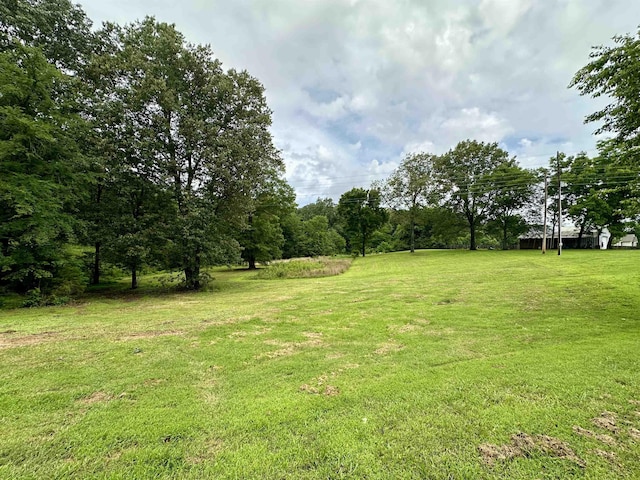 520 Jernigan Dr, Somerville, TN 38068 - view of grassy yard