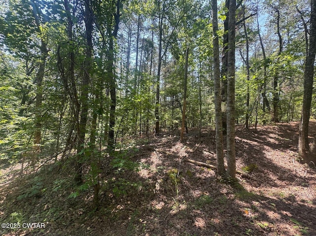 154 Oakgrove Dr, Middleton, TN 38052