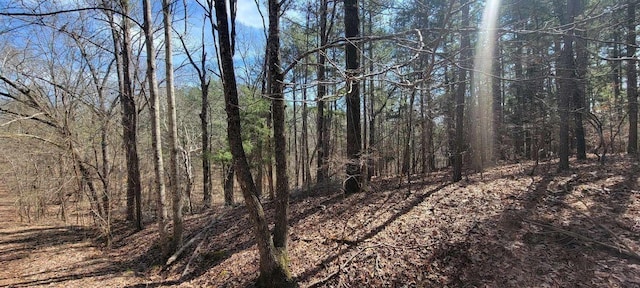 154 Oakgrove Dr, Middleton, TN 38052