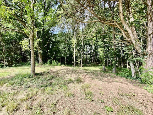 475 Fertile Valley Rd, Somerville, TN 38068