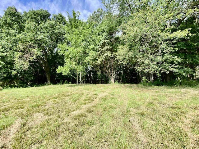 475 Fertile Valley Rd, Somerville, TN 38068