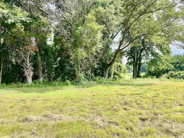 475 Fertile Valley Rd, Somerville, TN 38068
